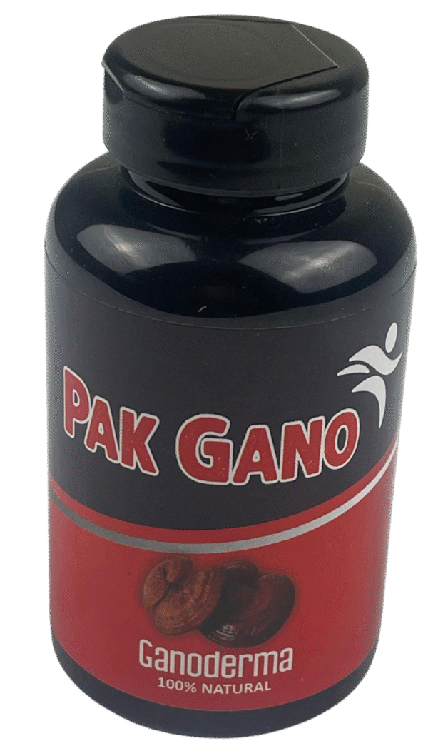PAK GANO SUPPLEMENT - Image 4